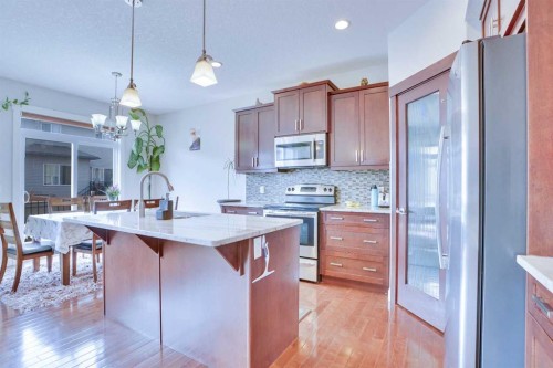 21 Saddlelake Gardens Ne, Calgary, AB - Indoor Photo Showing Kitchen With Upgraded Kitchen