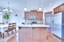 21 Saddlelake Gardens Ne, Calgary, AB  - Indoor Photo Showing Kitchen With Upgraded Kitchen 