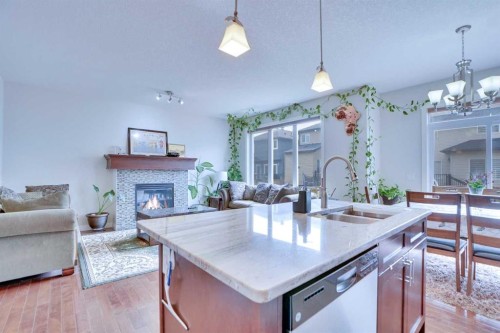 21 Saddlelake Gardens Ne, Calgary, AB - Indoor With Fireplace