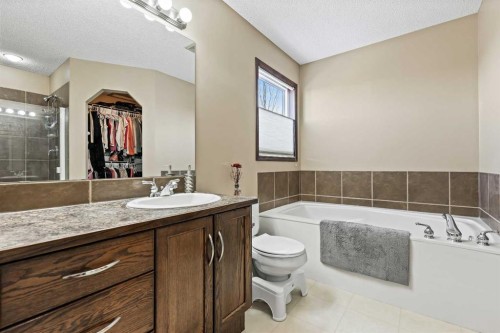 1976 New Brighton Drive Se, Calgary, AB - Indoor Photo Showing Bathroom