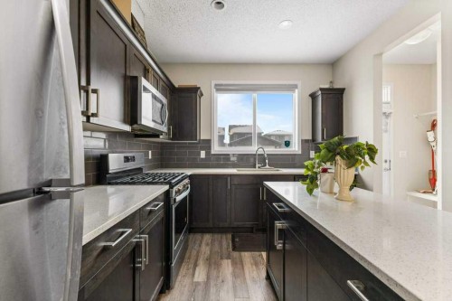 59 Cornerstone Avenue Ne, Calgary, AB - Indoor Photo Showing Kitchen With Upgraded Kitchen