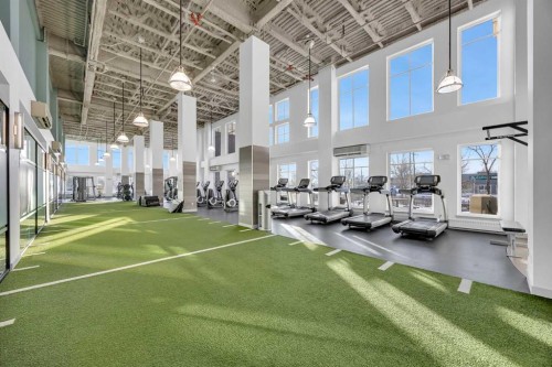 305-35 Inglewood Park Se, Calgary, AB - Indoor Photo Showing Gym Room