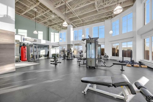 305-35 Inglewood Park Se, Calgary, AB - Indoor Photo Showing Gym Room