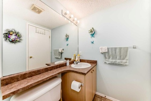 3211-4975 130 Avenue Se, Calgary, AB - Indoor Photo Showing Bathroom