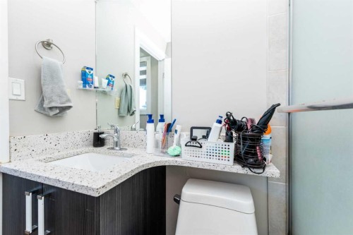 55 Falton Rise Ne, Calgary, AB - Indoor Photo Showing Bathroom
