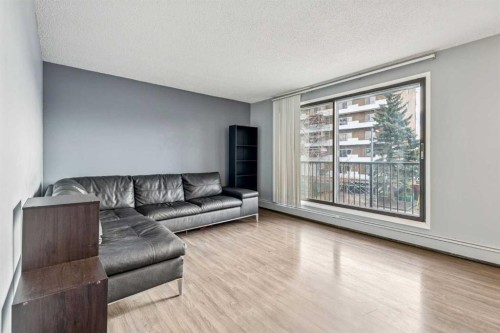 301-2734 17 Avenue Sw, Calgary, AB - Indoor Photo Showing Living Room