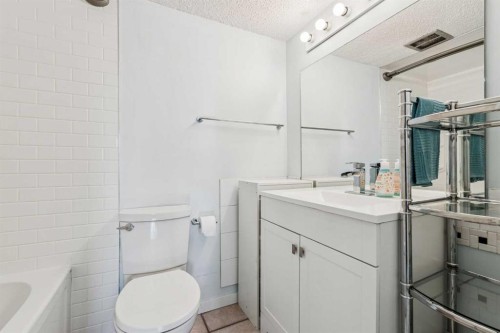 301-2734 17 Avenue Sw, Calgary, AB - Indoor Photo Showing Bathroom