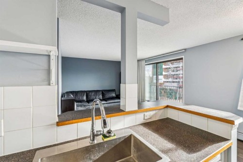 301-2734 17 Avenue Sw, Calgary, AB - Indoor Photo Showing Kitchen With Double Sink