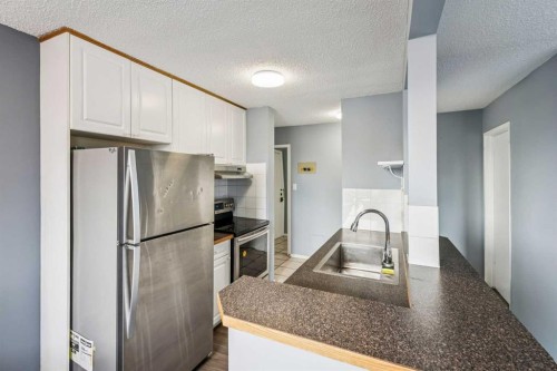 301-2734 17 Avenue Sw, Calgary, AB - Indoor Photo Showing Kitchen With Stainless Steel Kitchen