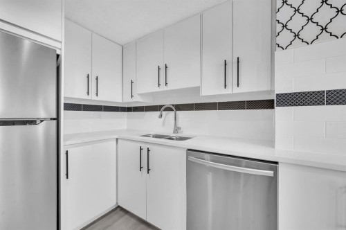 116-6440 4 Street Nw, Calgary, AB - Indoor Photo Showing Kitchen With Double Sink