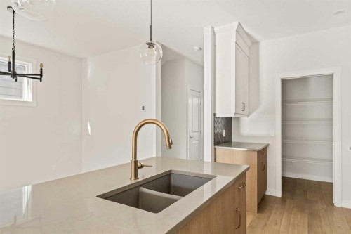82 Royston Park Nw, Calgary, AB - Indoor Photo Showing Kitchen With Double Sink