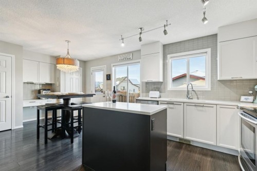 4 Copperfield Rise Se, Calgary, AB - Indoor Photo Showing Kitchen With Upgraded Kitchen