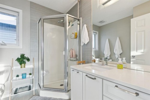 4 Copperfield Rise Se, Calgary, AB - Indoor Photo Showing Bathroom