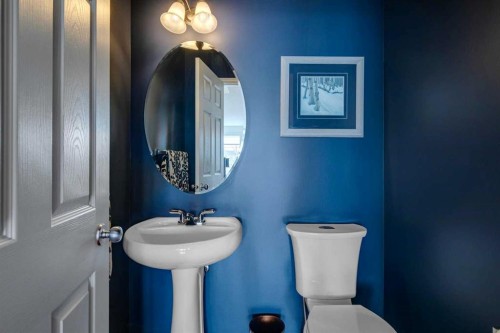 15 Copperfield Close Se, Calgary, AB - Indoor Photo Showing Bathroom