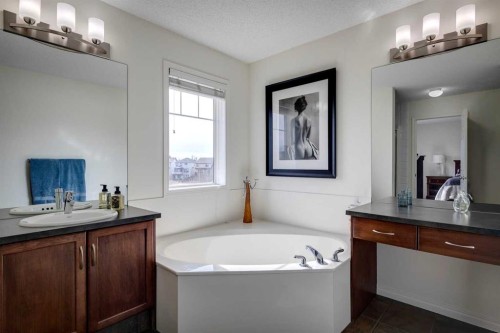 15 Copperfield Close Se, Calgary, AB - Indoor Photo Showing Bathroom