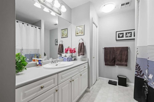 104-43 Westlake Circle, Strathmore, AB - Indoor Photo Showing Bathroom