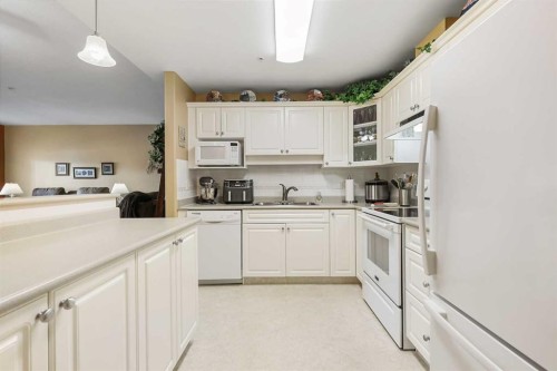 104-43 Westlake Circle, Strathmore, AB - Indoor Photo Showing Kitchen With Double Sink