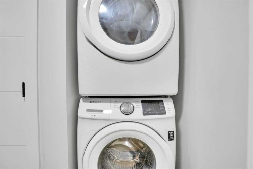 139 Castleglen Way Ne, Calgary, AB - Indoor Photo Showing Laundry Room