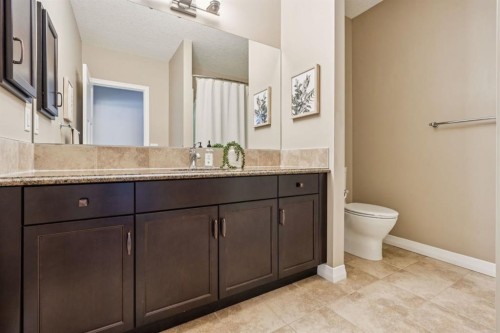 82 Ridge View Place, Cochrane, AB - Indoor Photo Showing Bathroom