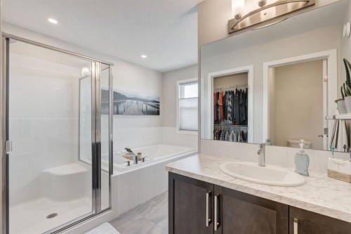 218 Riviera View, Cochrane, AB - Indoor Photo Showing Bathroom