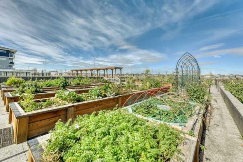 1321-76 Cornerstone Passage Ne, Calgary, AB - Outdoor