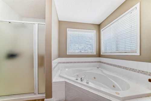 232 Coral Keys Place Ne, Calgary, AB - Indoor Photo Showing Bathroom