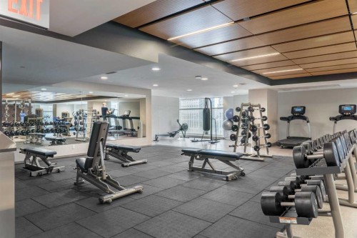 1403-1122 3 Street Se, Calgary, AB - Indoor Photo Showing Gym Room
