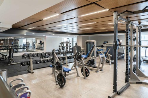 1403-1122 3 Street Se, Calgary, AB - Indoor Photo Showing Gym Room