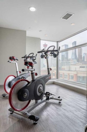 1403-1122 3 Street Se, Calgary, AB - Indoor Photo Showing Gym Room