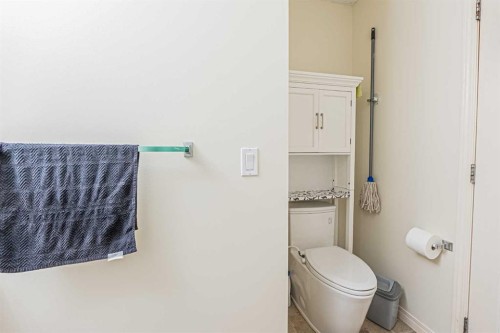 9249 Saddlebrook Drive Ne, Calgary, AB - Indoor Photo Showing Bathroom