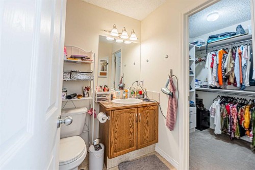 9249 Saddlebrook Drive Ne, Calgary, AB - Indoor Photo Showing Bathroom