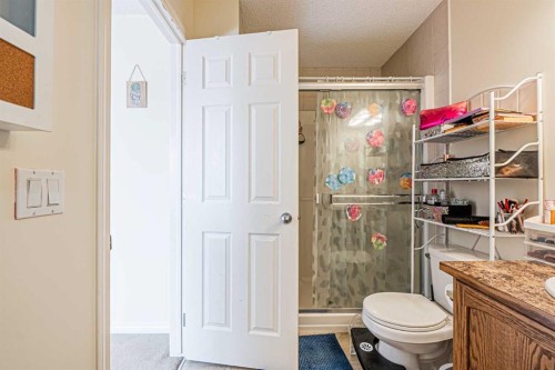 9249 Saddlebrook Drive Ne, Calgary, AB - Indoor Photo Showing Bathroom