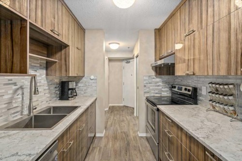 1113-11 Chaparral Ridge Drive Se, Calgary, AB - Indoor Photo Showing Kitchen With Double Sink With Upgraded Kitchen