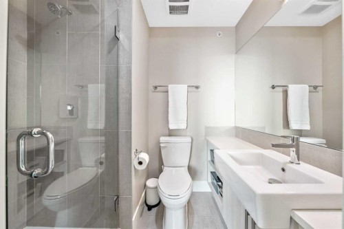 308-1611 28 Avenue Sw, Calgary, AB - Indoor Photo Showing Bathroom