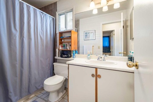 6496 54 Street Ne, Calgary, AB - Indoor Photo Showing Bathroom