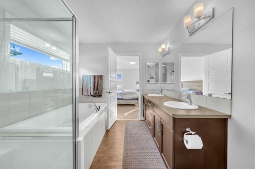 17 Cornerstone Manor Ne, Calgary, AB - Indoor Photo Showing Bathroom