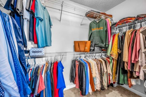 17 Cornerstone Manor Ne, Calgary, AB - Indoor With Storage