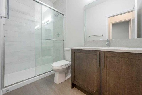 19 Homestead Pass Ne, Calgary, AB - Indoor Photo Showing Bathroom