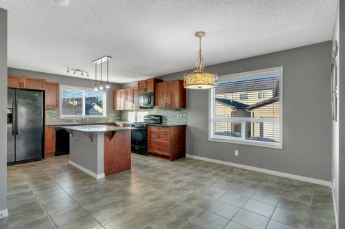 41 Skyview Point Green Ne, Calgary, AB - Indoor Photo Showing Kitchen