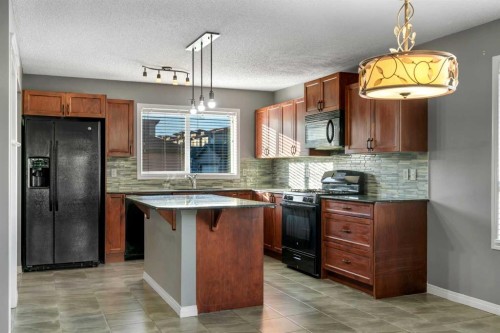 41 Skyview Point Green Ne, Calgary, AB - Indoor Photo Showing Kitchen With Double Sink