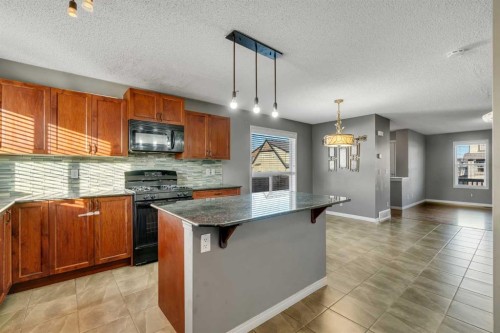 41 Skyview Point Green Ne, Calgary, AB - Indoor Photo Showing Kitchen