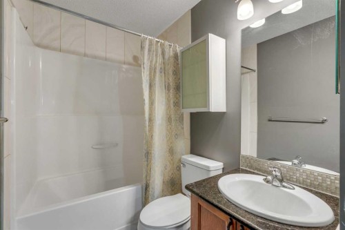41 Skyview Point Green Ne, Calgary, AB - Indoor Photo Showing Bathroom