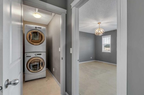 41 Skyview Point Green Ne, Calgary, AB - Indoor Photo Showing Laundry Room