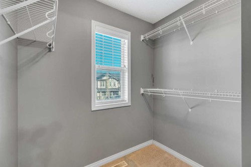 41 Skyview Point Green Ne, Calgary, AB - Indoor With Storage