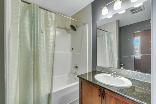 41 Skyview Point Green Ne, Calgary, AB - Indoor Photo Showing Bathroom