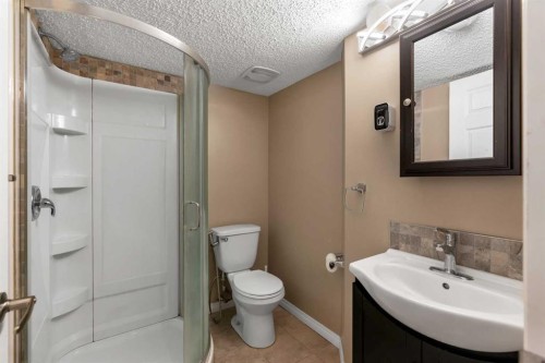 41 Skyview Point Green Ne, Calgary, AB - Indoor Photo Showing Bathroom