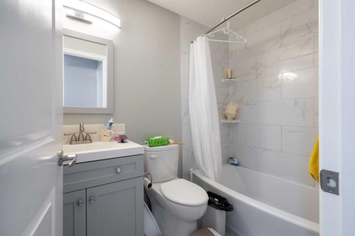 1464 Livingston Way Ne, Calgary, AB - Indoor Photo Showing Bathroom