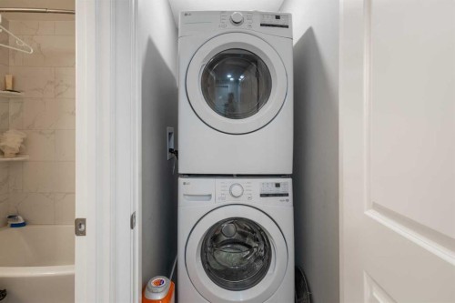 1464 Livingston Way Ne, Calgary, AB - Indoor Photo Showing Laundry Room