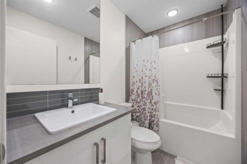 87 Walden Path Se, Calgary, AB - Indoor Photo Showing Bathroom