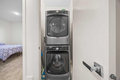 87 Walden Path Se, Calgary, AB - Indoor Photo Showing Laundry Room